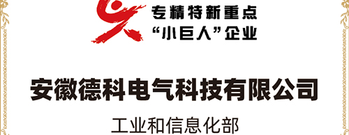 「小巨人 大分量」| UED官网,电气荣获“国家专精特新重点小巨人企业”称号！